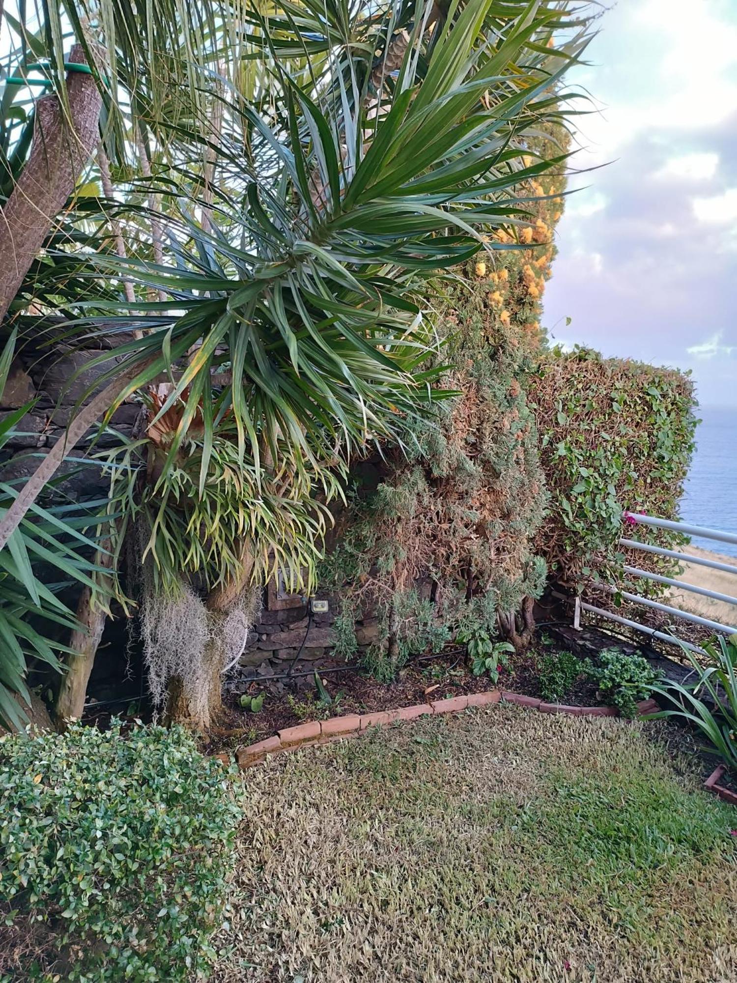 Moradia T2 Madeira Funchal (Madeira) Exterior foto